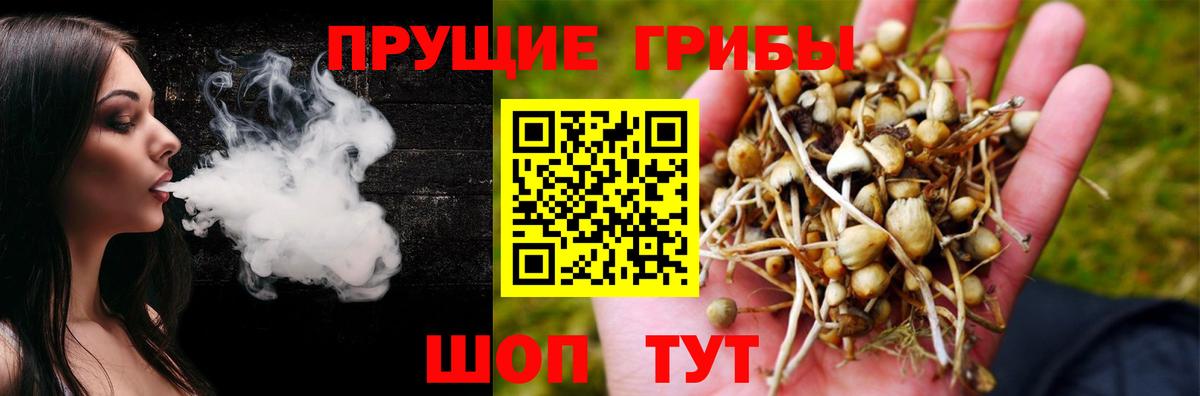 Галлюциногенные грибы мицелий  наркота  Псилоцибиновые грибы GOLDEN TEACHER  Фролово  Вход с VPN 