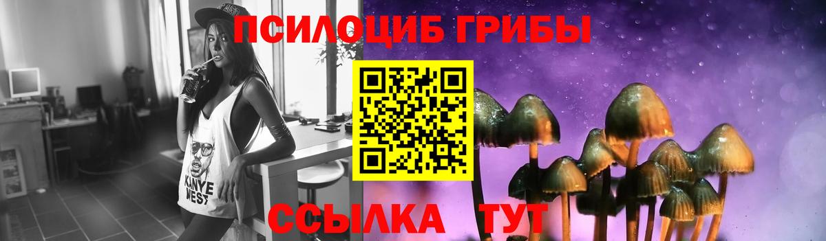 Псилоцибиновые грибы Cubensis Фролово