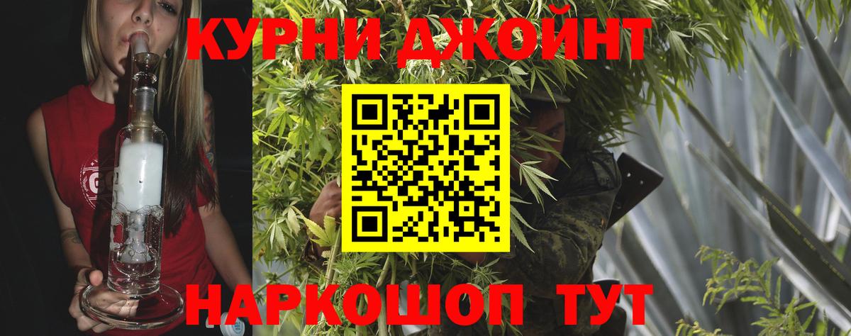 Бошки Шишки план Фролово